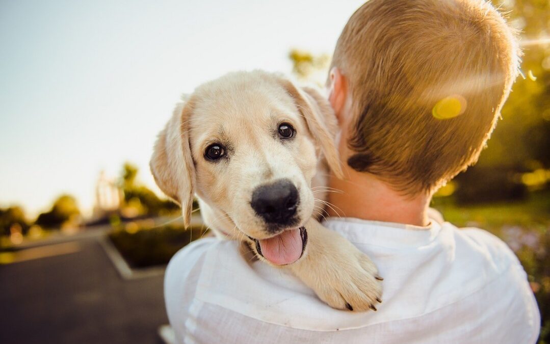 Una app per la pet therapy, nasce il social di Frida’s Friends