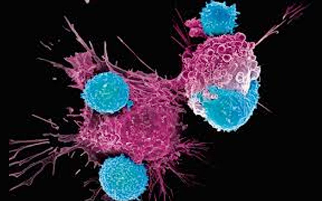 TERAPIA CAR-T: i primi tre bimbi