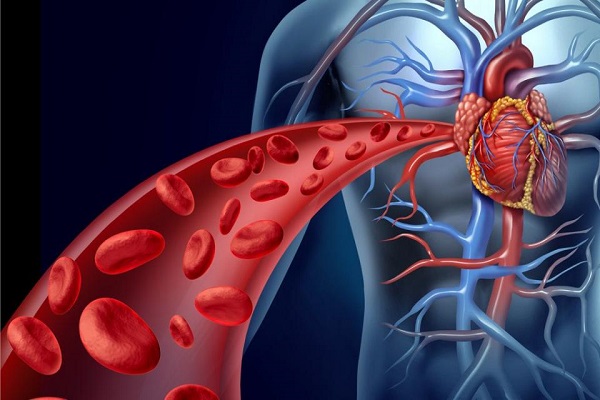 Cardiopatia ischemica, il ruolo degli ormoni sessuali