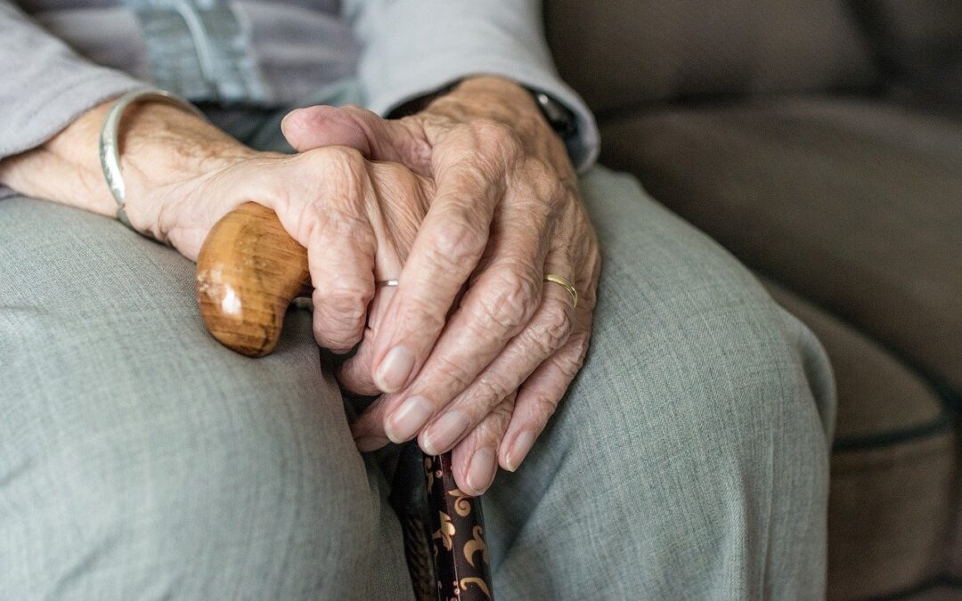 Il Senato approva il ddl anziani, per monsignor Paglia è “un traguardo storico”