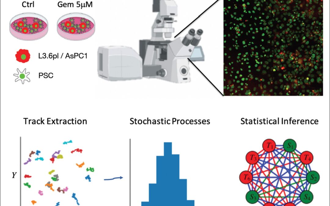 Uno studio per stimare l’adeguatezza dei farmaci per i tumori al pancreas