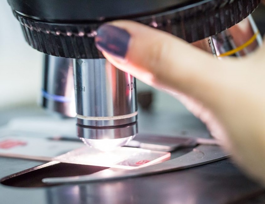 Un nuovo progetto in Italia per implementare la medicina di precisione