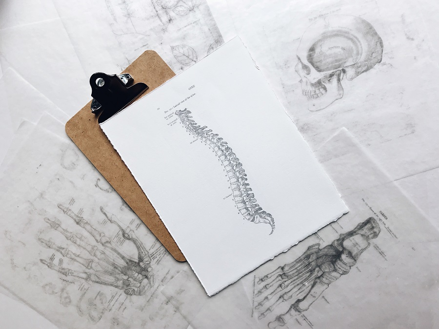 Colonna vertebrale ricostruita in digitale a Parma con un intervento mininvasivo di chirurgia protesica