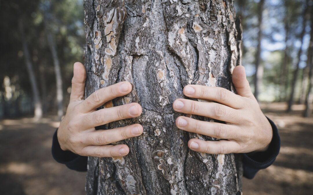 Il benessere arriva con il bagno in foresta