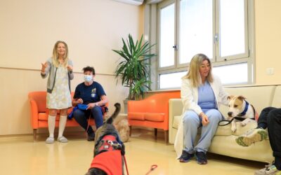 La Pet Therapy entra nel reparto di oncologia medica al Sant’Orsola di Bologna