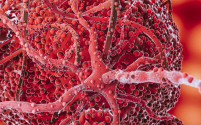 Nasce l’intergruppo parlamentare sulla fibrosi cistica